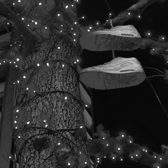nocturne