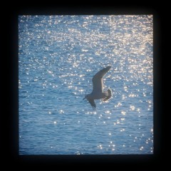 Một Người Nhớ Một Người - 一个人想着一个人  艾比利