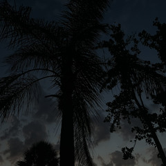 Kodak Black - Easter in Miami slowed