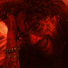 $UICIDEBOY$ - Now I'm Going Crazy
