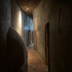 SENTIENS
