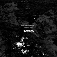 PREMIERE : Adjust (BE) - Wandering Spirits [AFDS002]