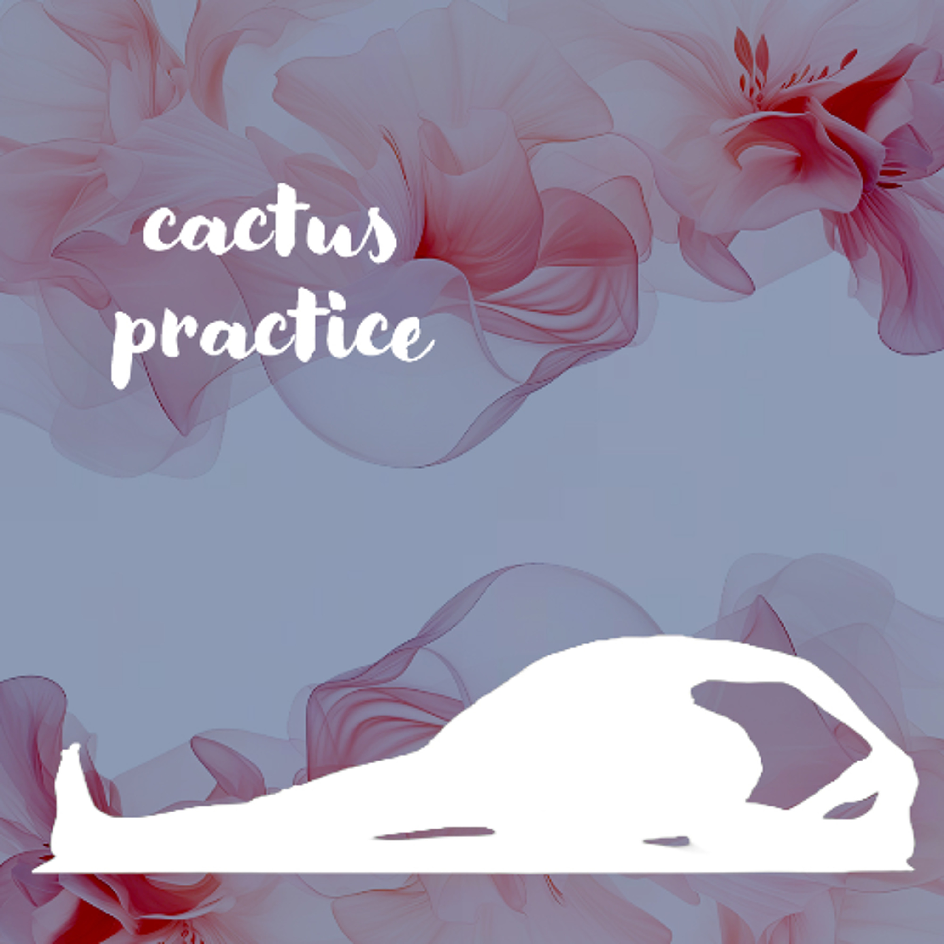 005012026 Cactus Practice episode artwork