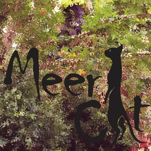 Meercat - As 5 Maravilhas Do PROG