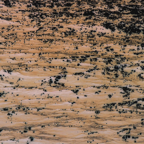 SYN Premiere: Juan Evangelista & Autonoe - Ecos del RÃ­o Muerto [NL003]