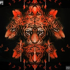 Raw Immediacy part2 - Daniel Chavez (HOUSE TECHNO AFRO HOUSE AFRO TECH MINIMAL)