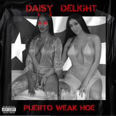 Daisy Delight - Puerto Weak Hoe