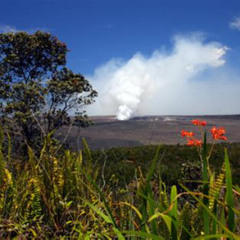 Review Special Price Hawaii Volcanoes National Park Experience Departing From Oahu