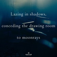 Lazing in Shadows (naviarhaiku504)