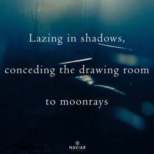 Lazing in Shadows (naviarhaiku504)