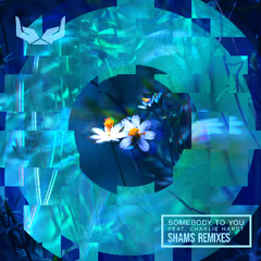 shams - Somebody to You (Ascension Remix)