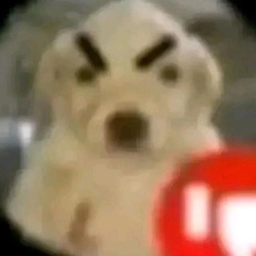 WTF - @tukson.wav