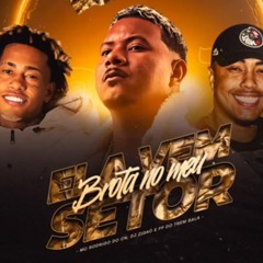 ELA VEM, BROTA NO MEU SETOR - MC RODRIGO DO CN ( DJ ZIGAO E FP DO TREM BALA )