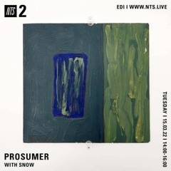 Snow NTS Radio Prosumer Show