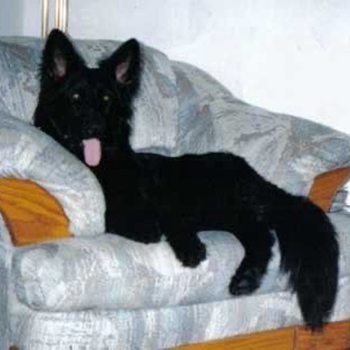 ​they let dj cannibal out of jail so we dropped an emotional banger