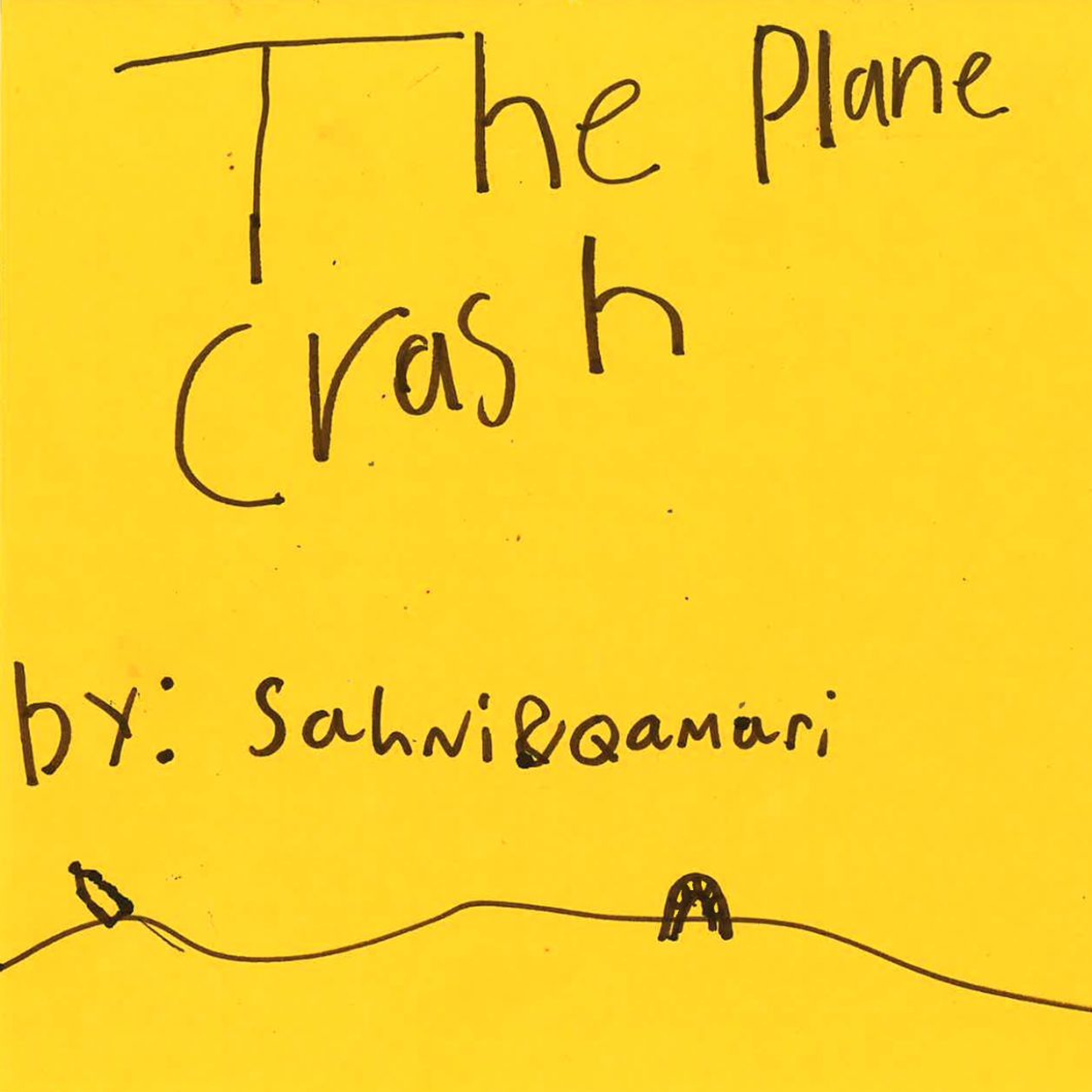 The Plane Crash by Sahni and Qamari episode artwork
