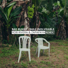 Bad Bunny - BAILE INoLVIDABLE (Rob Rivera & ZAPAPAYA Afro Remix)