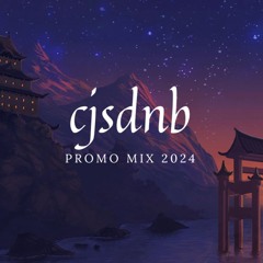 CJsDNB - PROMO MIX 2024