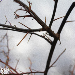 DSNGDMANN - Resistance [SOMA SELECTS Premiere]