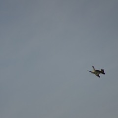 ghostfomydrip - SUNDAY SESSION - DEMOS