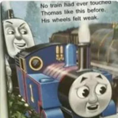 they named the city afterr mii