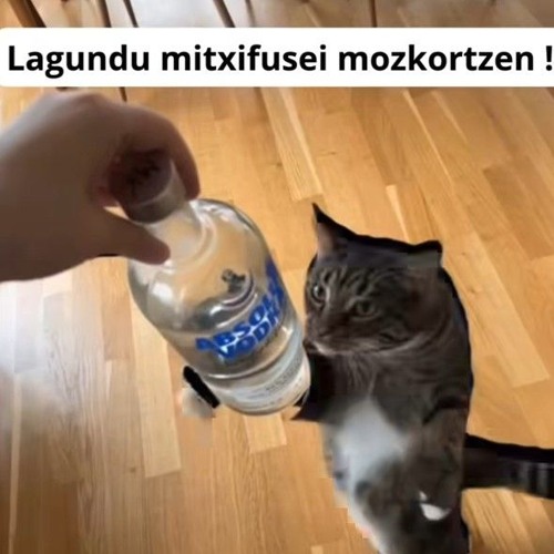 SESSION DLC MATTIN.mp3