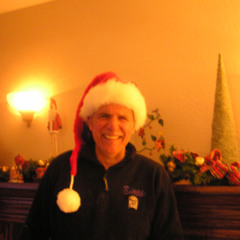 LANDR-WE Wish You a MErry Christmas