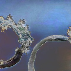 running in imperfect circles