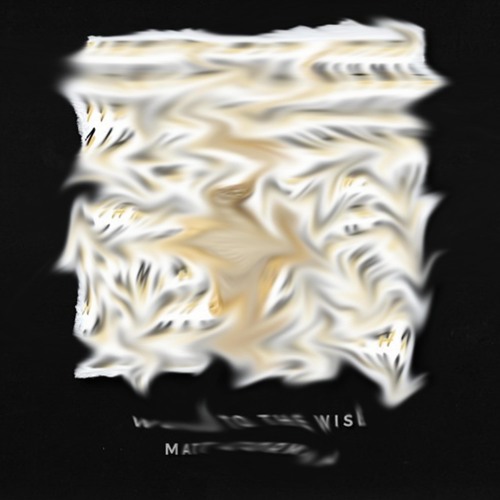 NSJ, Matt Corman - Word To The Wise (REMIX)