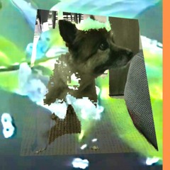 child's play 2/17/23