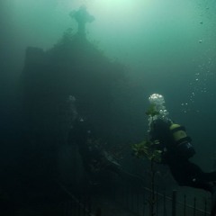 not no1 prod@oliver01