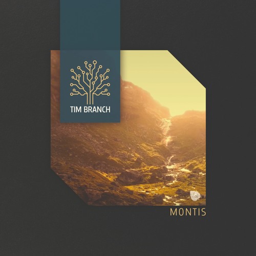 Premiere: Tim Branch - Montis  [Camphor Laurel]