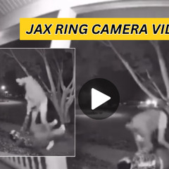 Stream Full: Jax Ring Camera Video Reddit Footage by Othoivideo ...