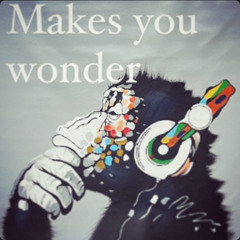 bassvictim - Makes you wonder