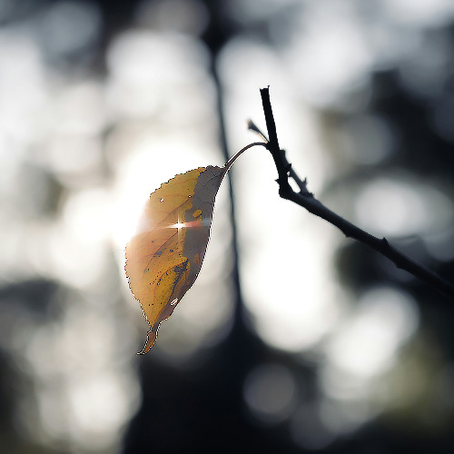 世界の終わりみたいな日
