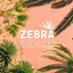 ZEBRA BEACH SUMMER SESSION • 26.06.16