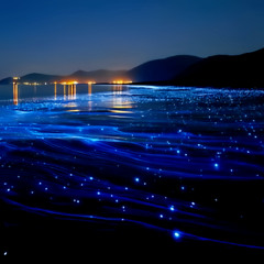 In Another World (나를 생각해 줘)