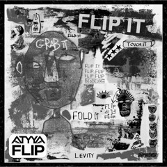Levity - Flip It (ATYYA Flip)