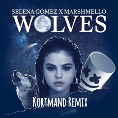 Selena Gomez, Marshmello - Wolves (Kortmand Remix)