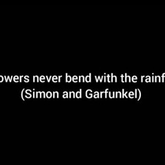 Flowers never bend with the rainfall (Simon and Garfunkel)