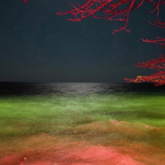 $LIM ILKY - OUT OF LOVE MY HEAD IS SPINNIN