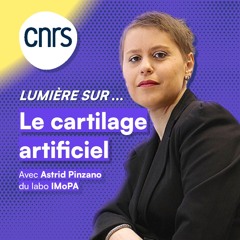 Lumière sur... Le cartilage artificiel