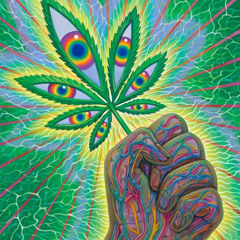 Pineal Gland - Sample