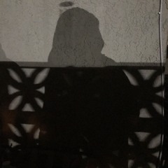 THE ELEMENTAL NOBODY