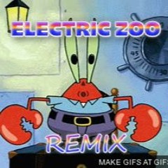 Electric Zoo Remix{