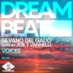 Silvano Del Gado - Voices (Remixes by Joe T Vannelli)