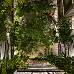 Rooftop Grooves at Minh Boutique