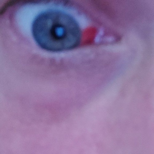 Scuffed Roach - Stick Around