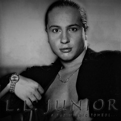 L.L. Junior - Ragamoffin II [Ectunati Tek remix]