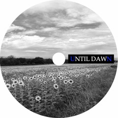 Until Dawn (Ambient Live Session Fragment)